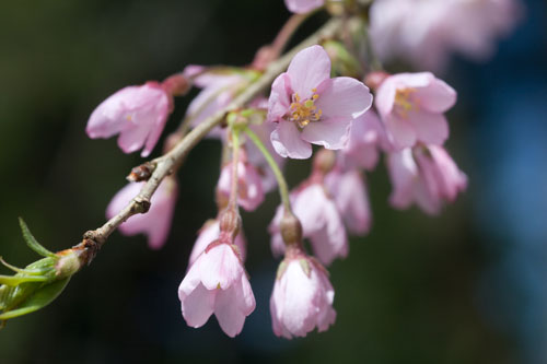 �_���Ѝ���