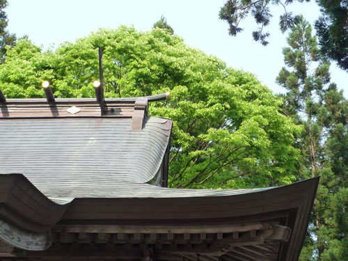 �_���А_����Չ�